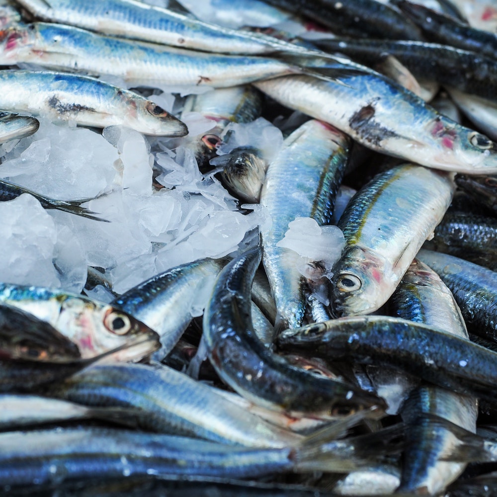 Manipulador de alimentos. Sector Pequeño comercio y ultramarinos. FCOM01 3.1